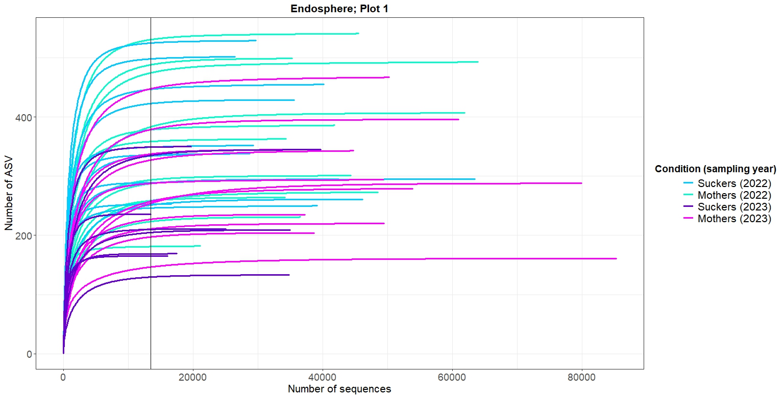 Figure 4. Rarefaction curves corresponding to root endosphere samples of the south plot (also named “Plot 1”).