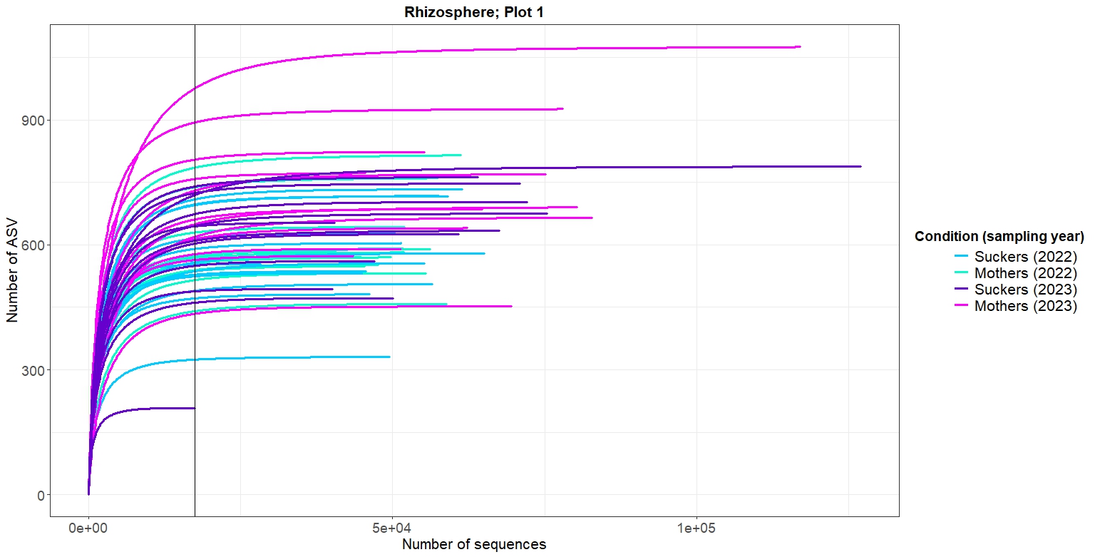 Figure 2. Rarefaction curves corresponding to rhizosphere samples of the south plot (also named “Plot 1”).