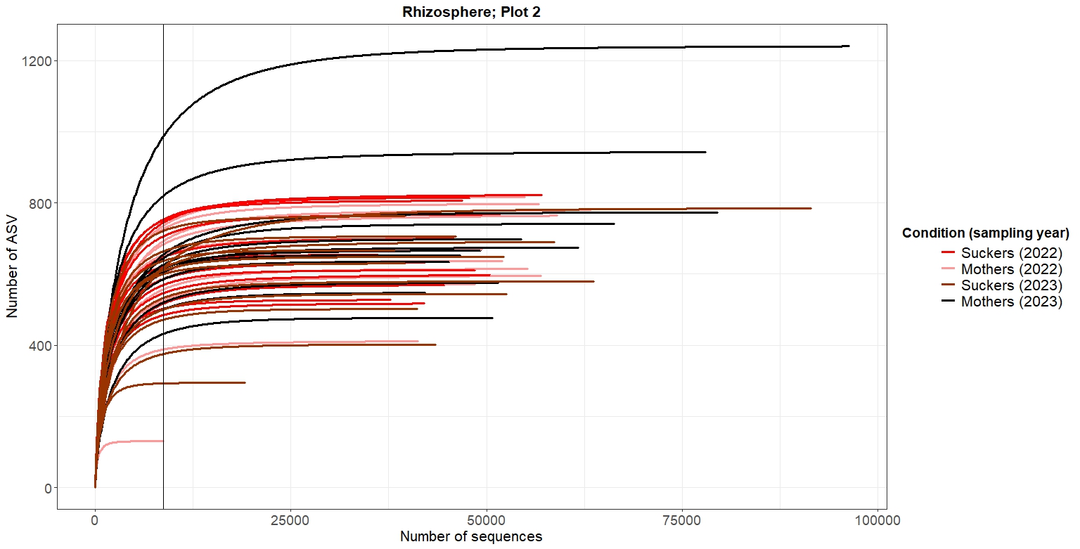 Figure 3. Rarefaction curves corresponding to rhizosphere samples of the north plot (also named “Plot 2”).